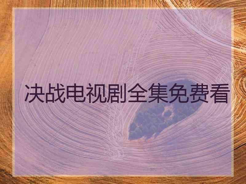 决战电视剧全集免费看