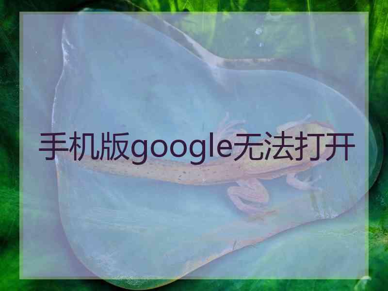 手机版google无法打开