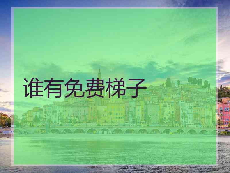 谁有免费梯子