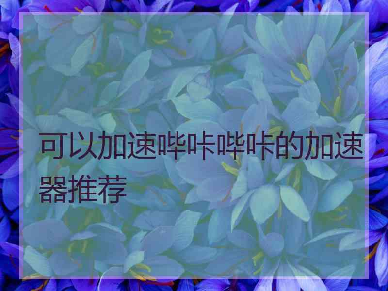 可以加速哔咔哔咔的加速器推荐
