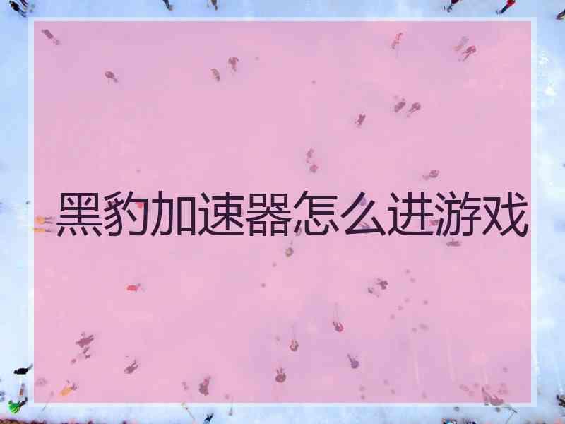 黑豹加速器怎么进游戏