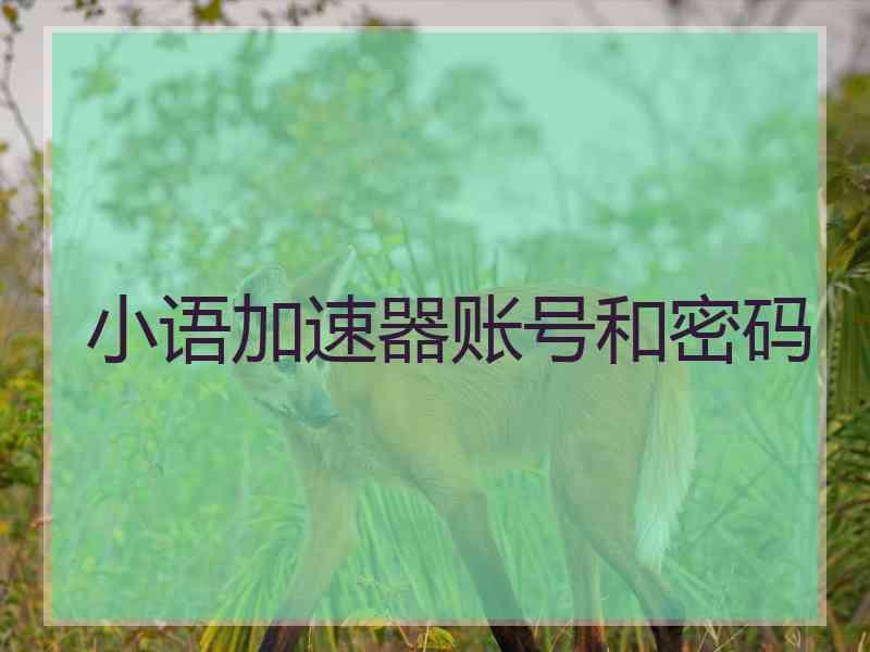 小语加速器账号和密码