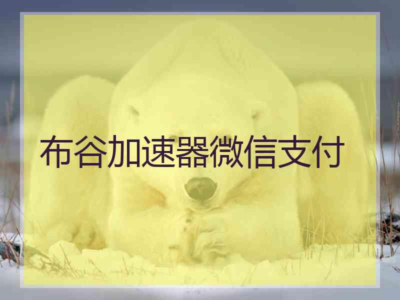 布谷加速器微信支付