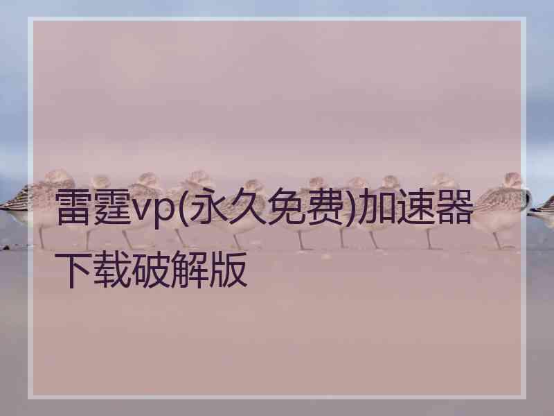 雷霆vp(永久免费)加速器下载破解版