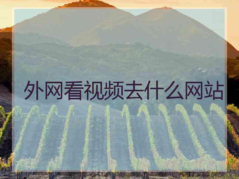 外网看视频去什么网站