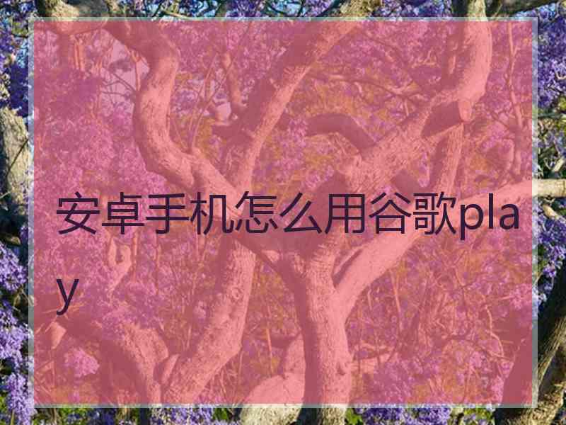 安卓手机怎么用谷歌play