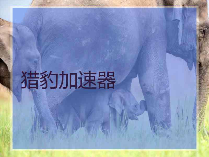 猎豹加速器