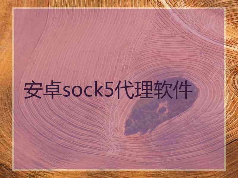 安卓sock5代理软件