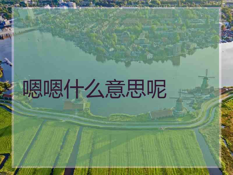 嗯嗯什么意思呢