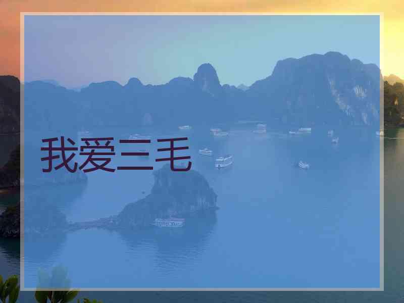 我爱三毛