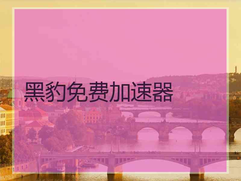 黑豹免费加速器