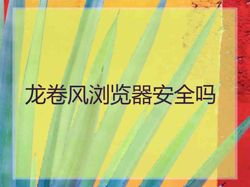 龙卷风浏览器安全吗