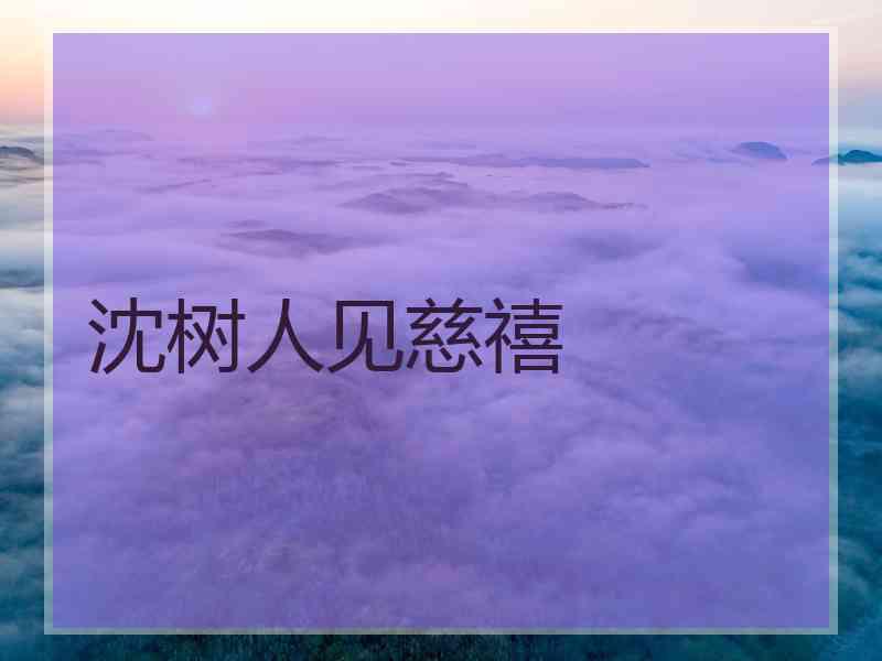 沈树人见慈禧