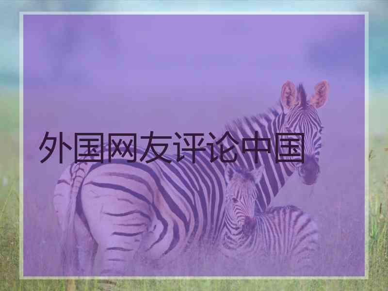 外国网友评论中国