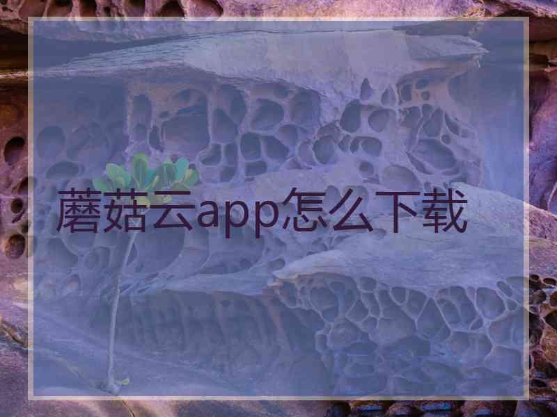 蘑菇云app怎么下载
