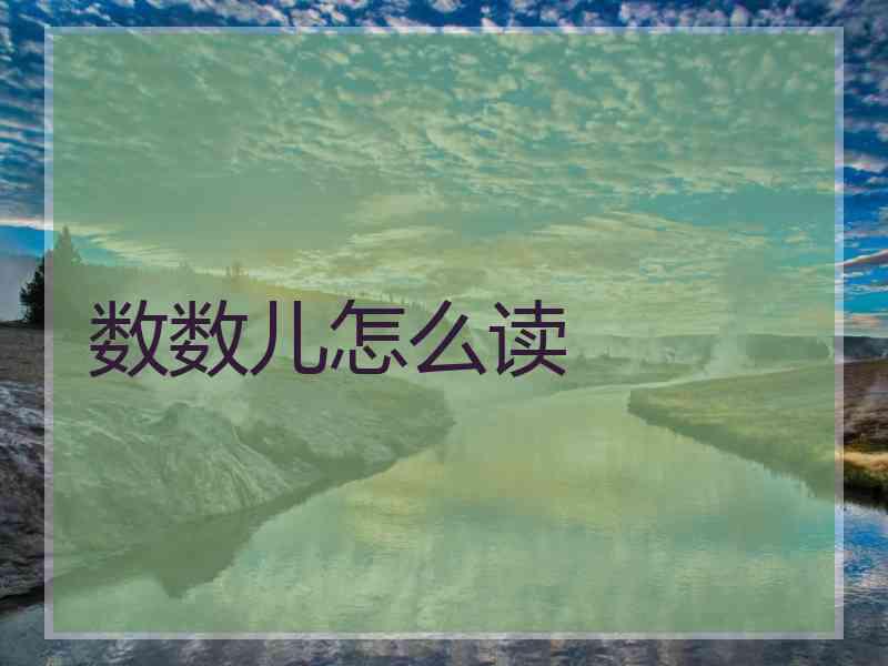 数数儿怎么读