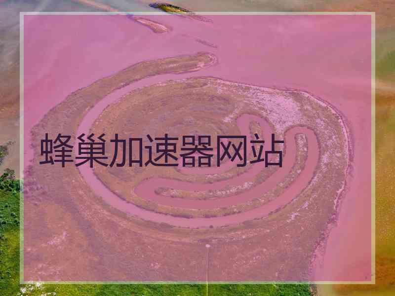 蜂巢加速器网站