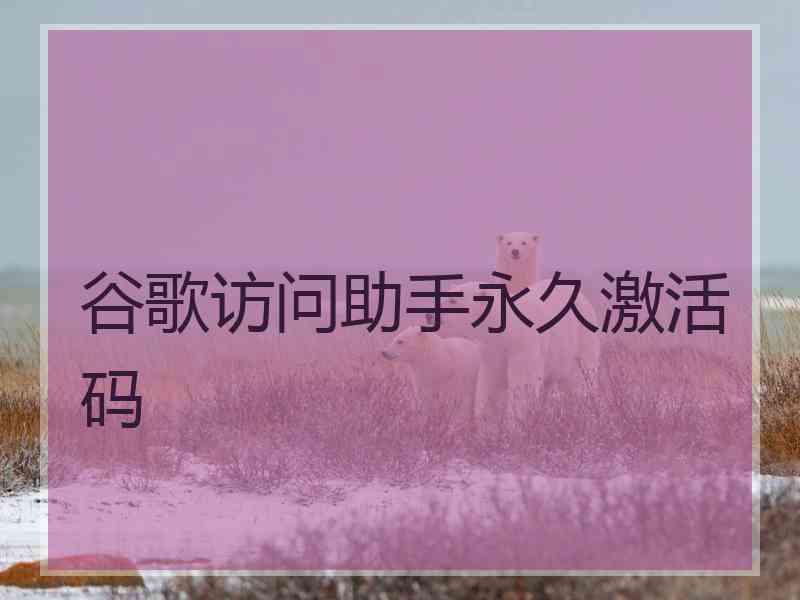 谷歌访问助手永久激活码