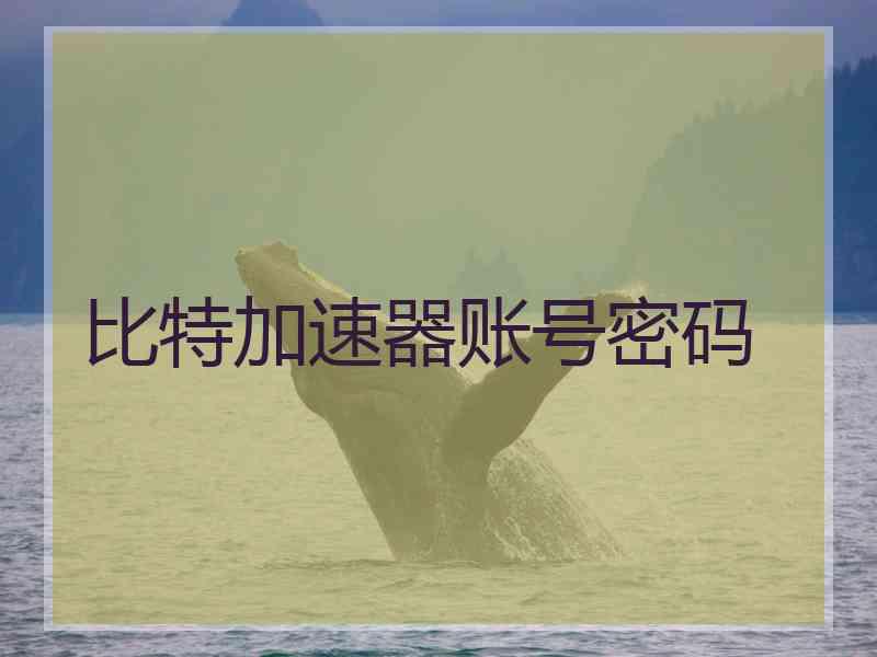 比特加速器账号密码