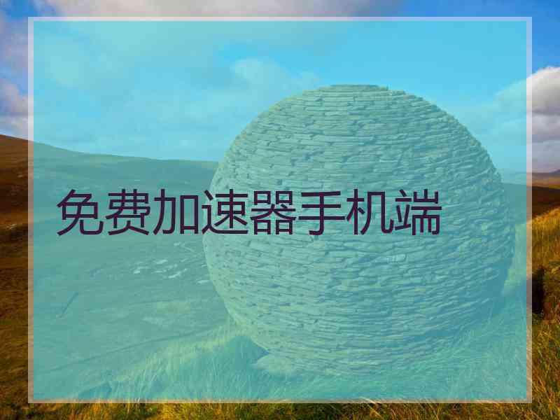 免费加速器手机端