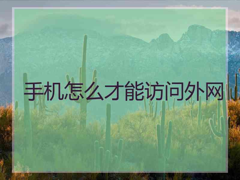 手机怎么才能访问外网