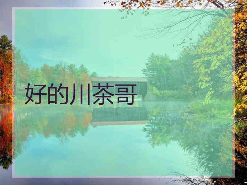 好的川茶哥