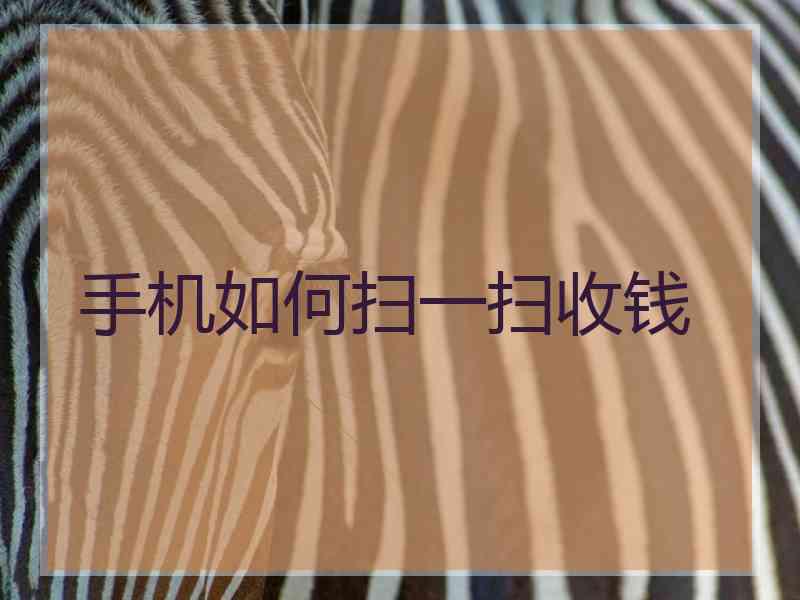 手机如何扫一扫收钱