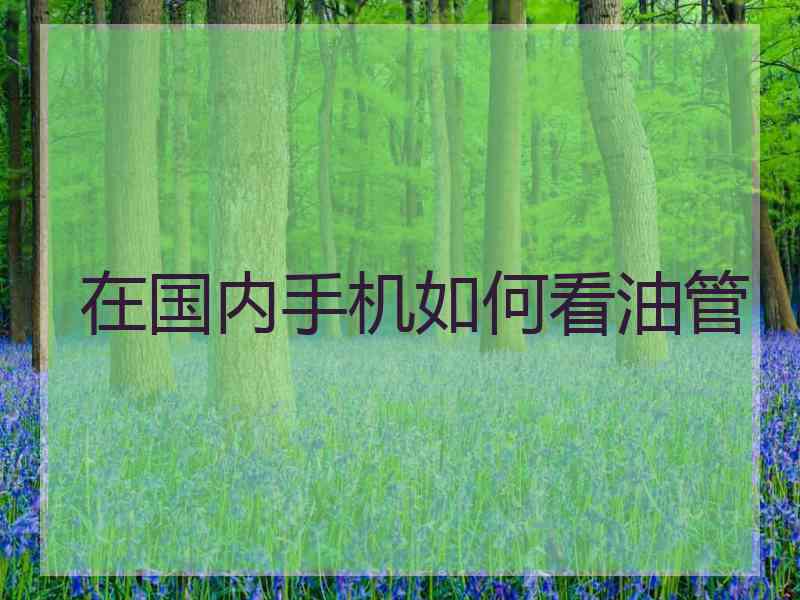 在国内手机如何看油管