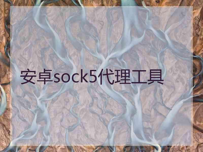 安卓sock5代理工具