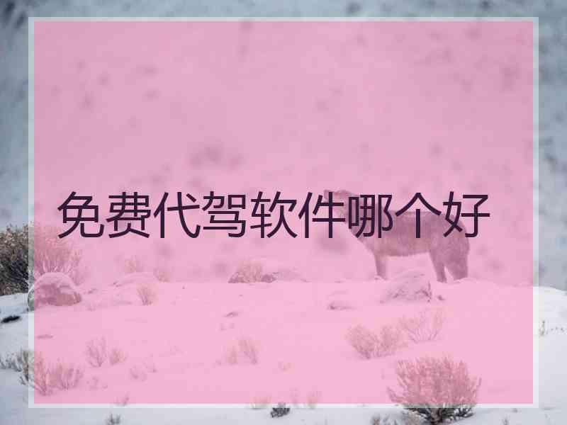 免费代驾软件哪个好