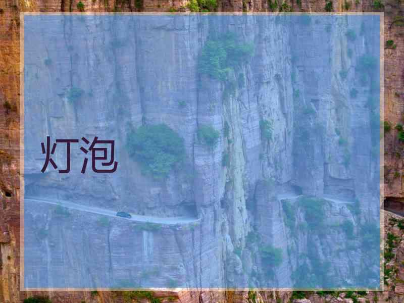 灯泡