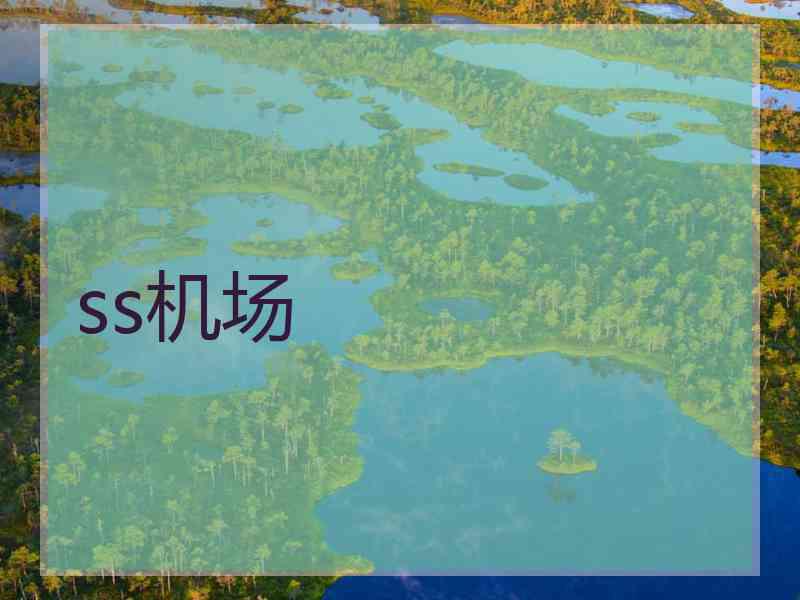 ss机场