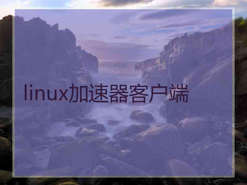 linux加速器客户端