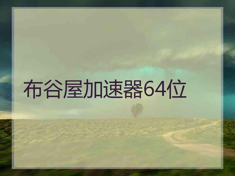 布谷屋加速器64位