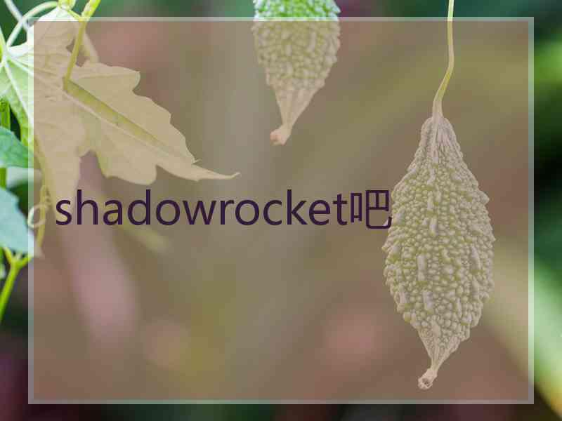 shadowrocket吧
