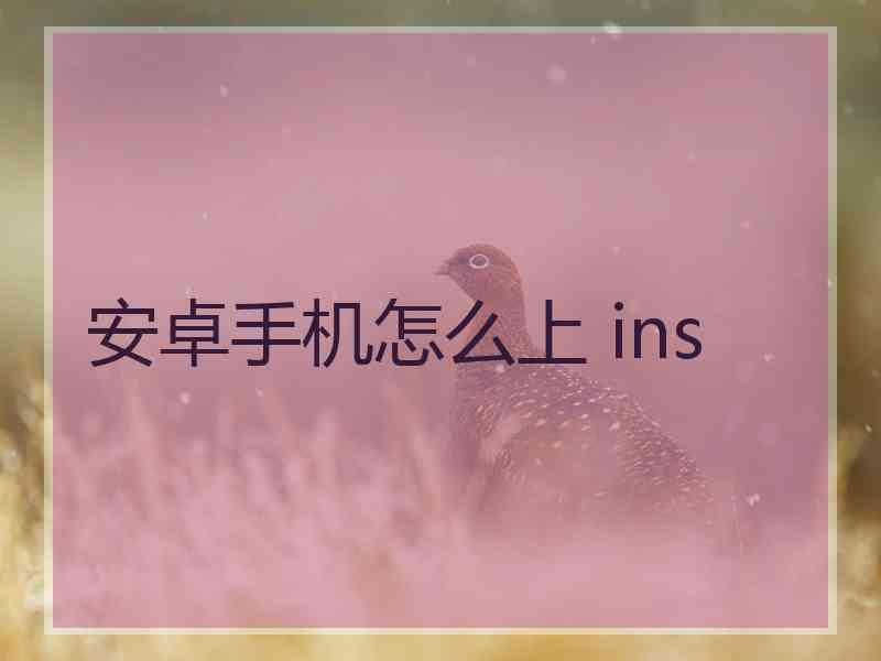 安卓手机怎么上 ins
