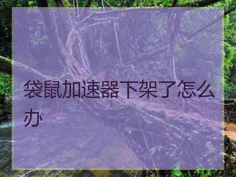 袋鼠加速器下架了怎么办