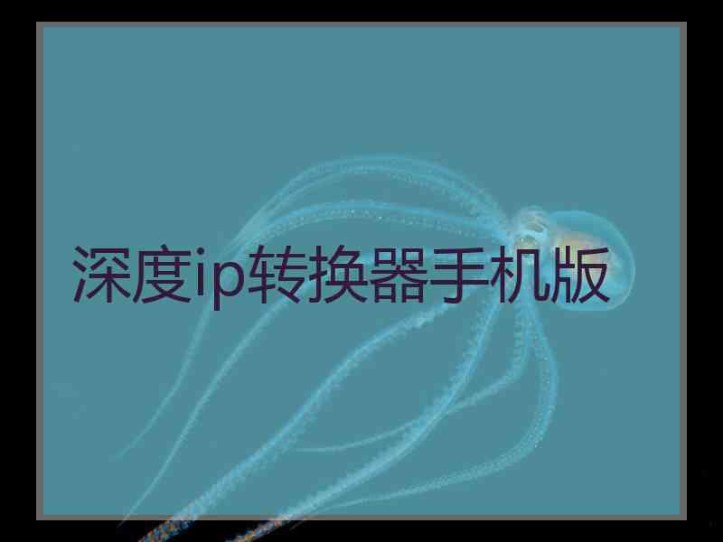 深度ip转换器手机版