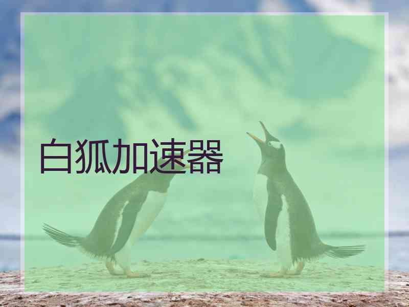 白狐加速器