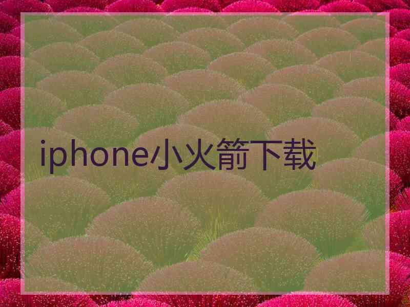 iphone小火箭下载