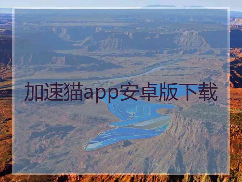 加速猫app安卓版下载