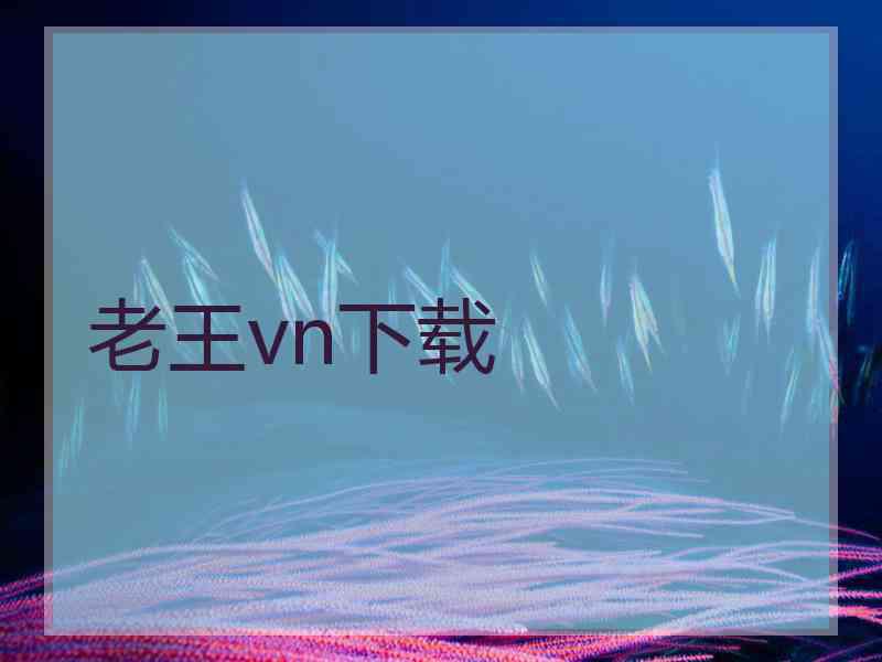 老王vn下载