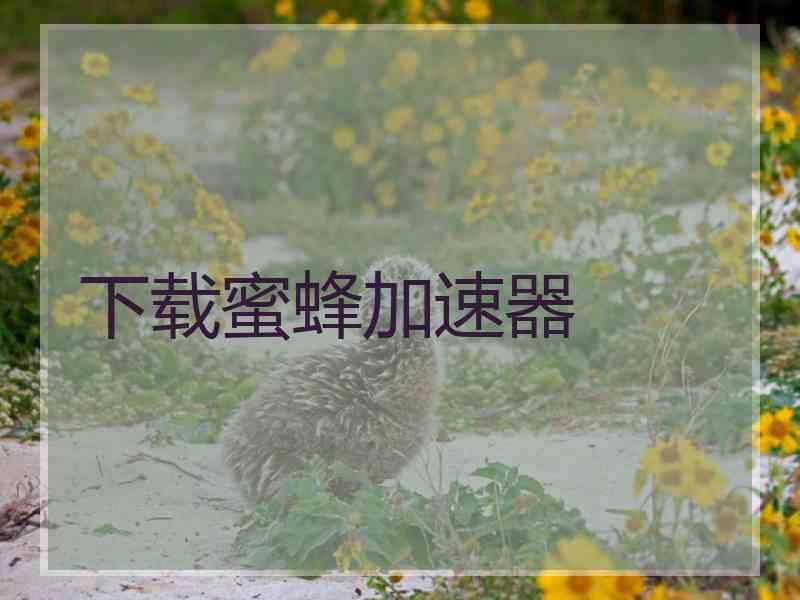 下载蜜蜂加速器