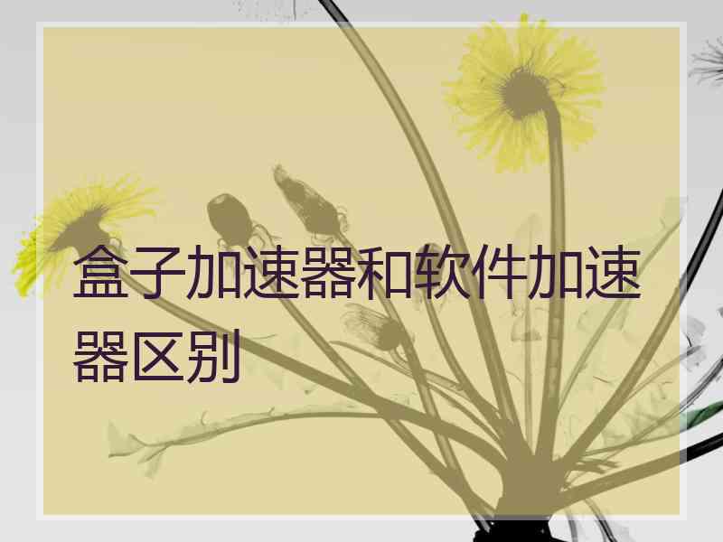 盒子加速器和软件加速器区别
