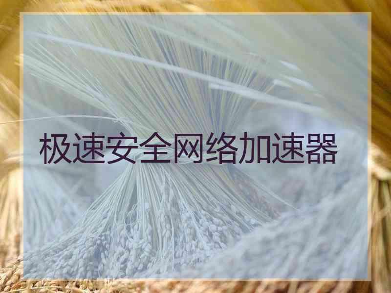 极速安全网络加速器