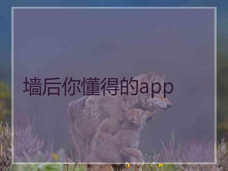 墙后你懂得的app