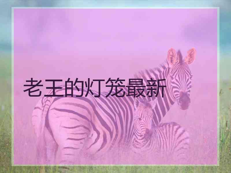 老王的灯笼最新