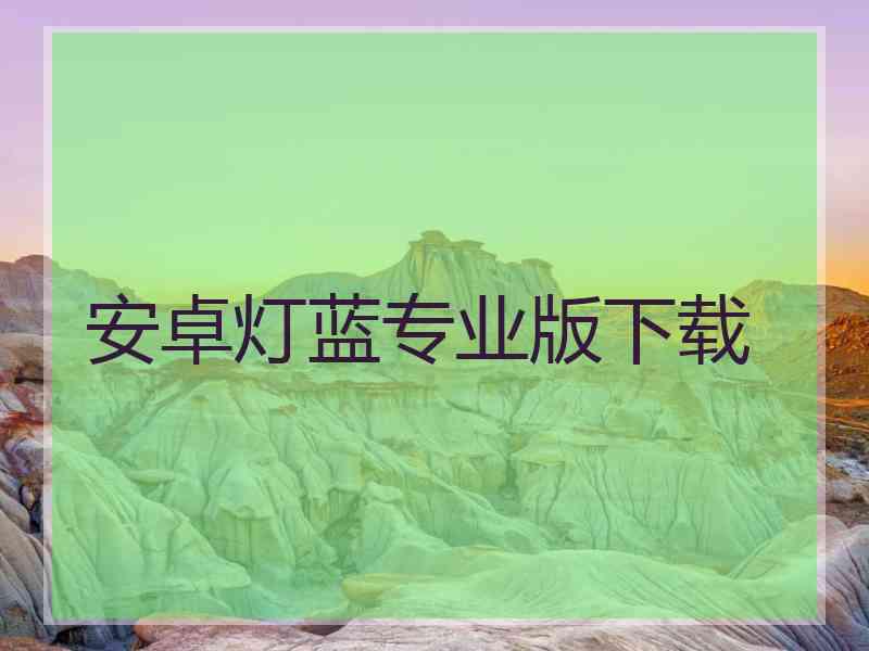 安卓灯蓝专业版下载