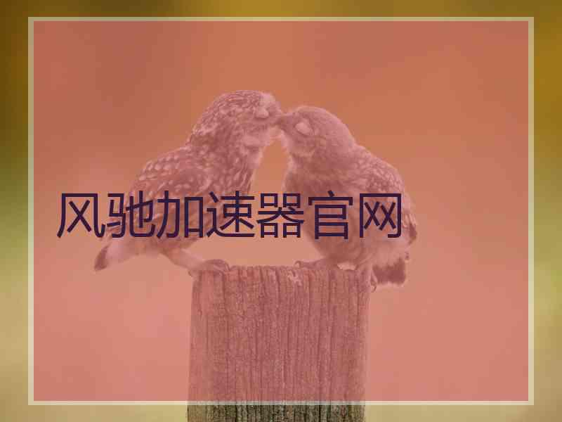 风驰加速器官网