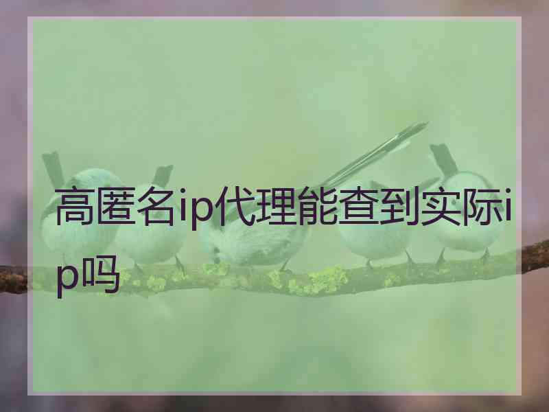 高匿名ip代理能查到实际ip吗